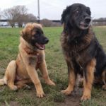 Anouk (Agathe Magic) & Prima